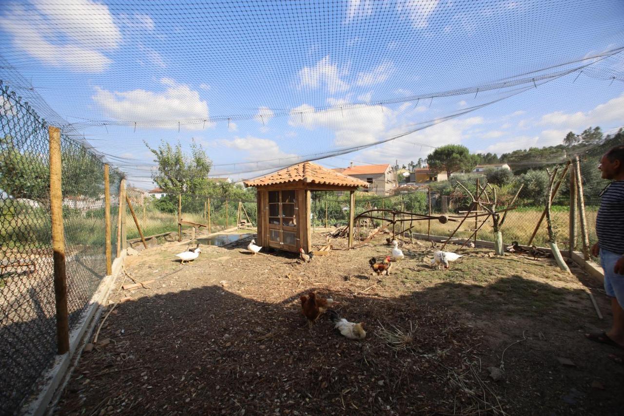 Apartamentos Rurais - Casas Do Lagar Rosmaninhal  Εξωτερικό φωτογραφία